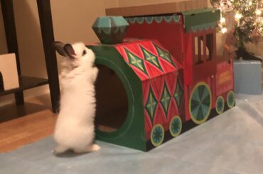 Plot twist of polar express the train conductor was a bunny the whole time