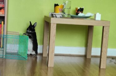 Hi.... You're home early!