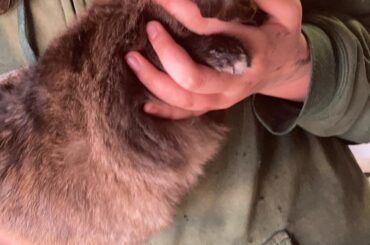 Hims a chunky loaf of cinnamon bread🥰