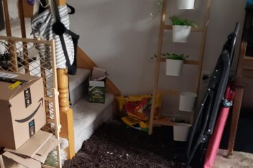 Left a bag of potting soil unattended...they were not sorry.