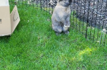 Fudge is havin' a look-see