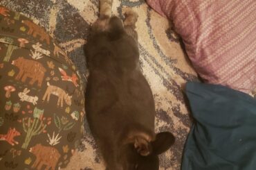 her longest noodle yet