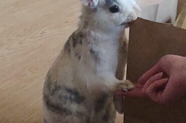 We’re moving today