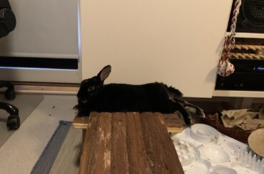 She almost fits
