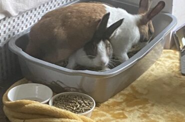 Ma’am ma’am MA’AM