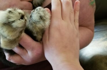 i like to kick people in the nose with my big feet