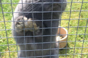 doing a lil bit of standing :)