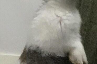 she’s being sneaky