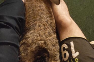 Legs for scale, cause banana too small