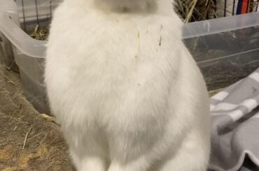 Finally got my treat!!!