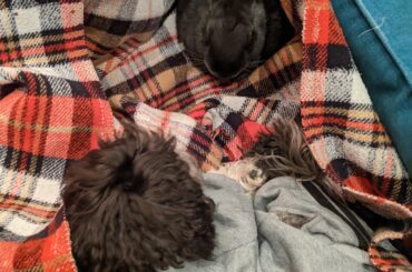 Ok. Fine, so I made them a fort. So what...!?