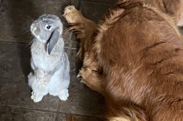 Periscoping next to fren.