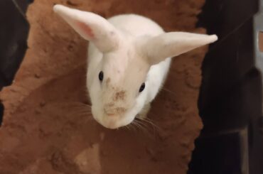 Aerial perspective of a hard-working digger