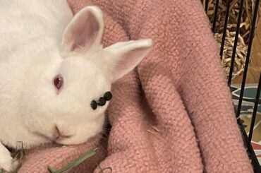 Something on my head? I don’t know what you’re talking about!