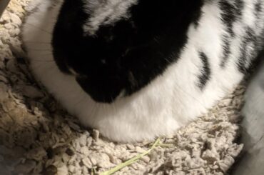 This loaf that I miss dearly.