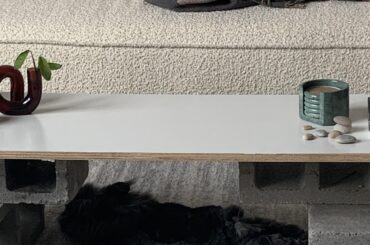 Have you ever seen a flatter noodle?