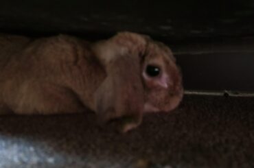 4 inch gap under the dresser? Perfection.