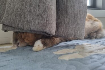 Ahh yes, maximum comfort
