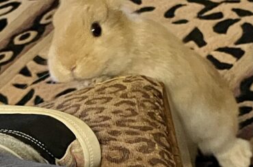 My girl making sure I’m still paying attention to her. 🥰