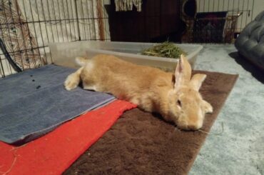 ...and she glides over there...