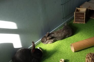 Yes, I'm aware there is a loaf in the picture as well, but it seemed mean to just crop him out