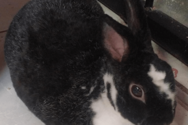 Nearly perfect loaf 💝