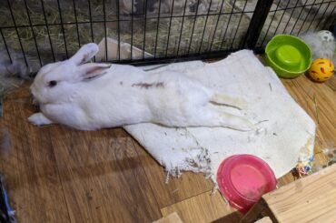 Desperately wanna touch those feets!