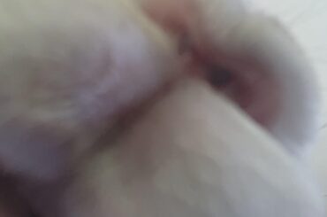 POV you are a nanner