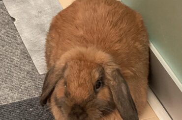 Love the smell of freshly baked bread