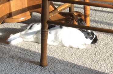 Found the sun spot!