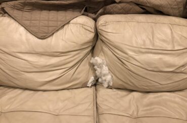 I was told this belongs here. Fabrication of my new winter hat will begin imminently.