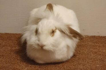 Nothing like a scratchy doormat!