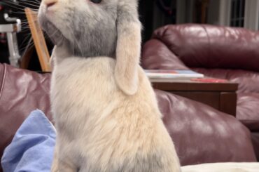 Watching fridge being built