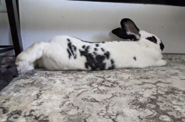 She noodled and said "hmmphhh" as she did too