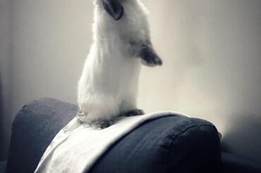 "I wonder what's up there?"