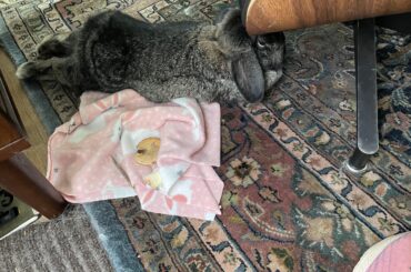 Must not touch the butt!