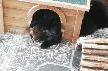 We can both fit in this doorway, shut up