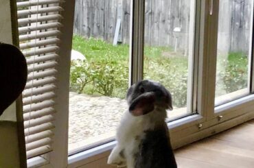 Mama it’s not that cold let me play outside