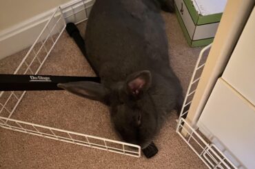 Very comfy