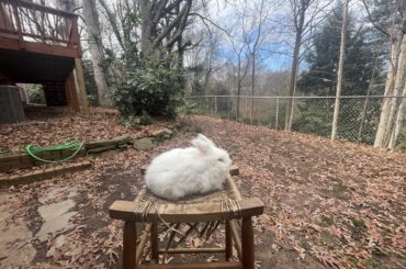 wilderness loaf not cooked enough to eat