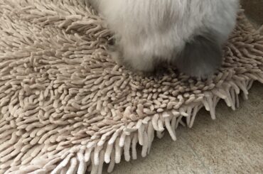 He ripped the tassel off 😩