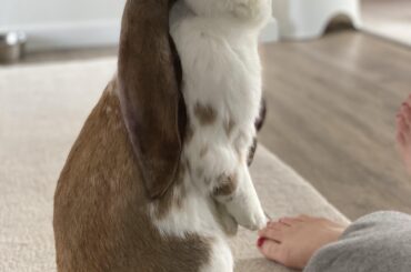 Missing my Roger 🥲