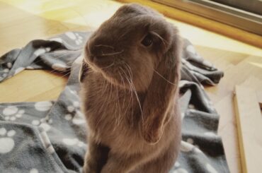 Someone told me that he belongs here