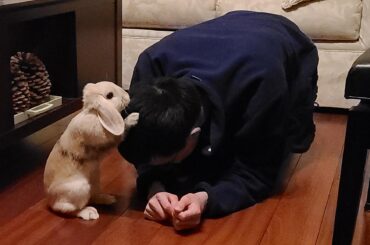 Bow down to your master, hooman