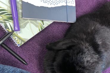 staying close for a chance to nibble the notebooks