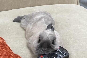 That… That can’t be comfy…