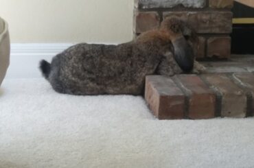 I miss my Teddy!