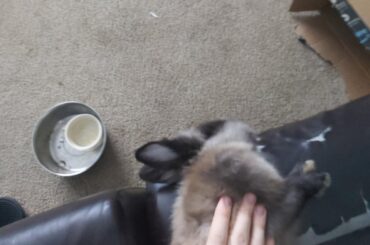 Lil lad s l u m b e r s