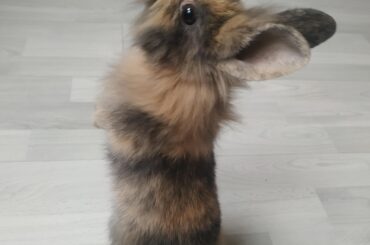 Just learned about this group and I think it fits there