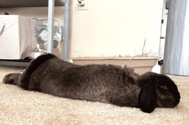 Sometimes she noodles so hard we call it “The Pancake”